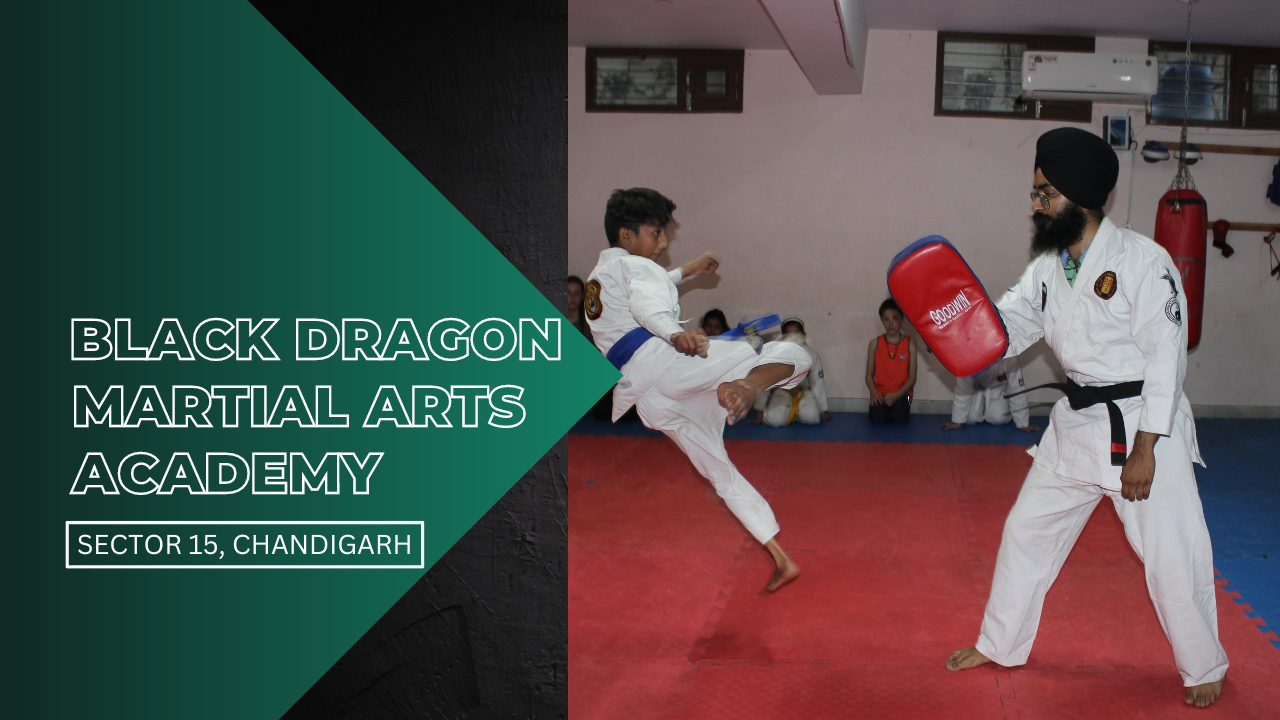 Black Dragon Martial Arts Academy, Sector 15, Chandigarh
