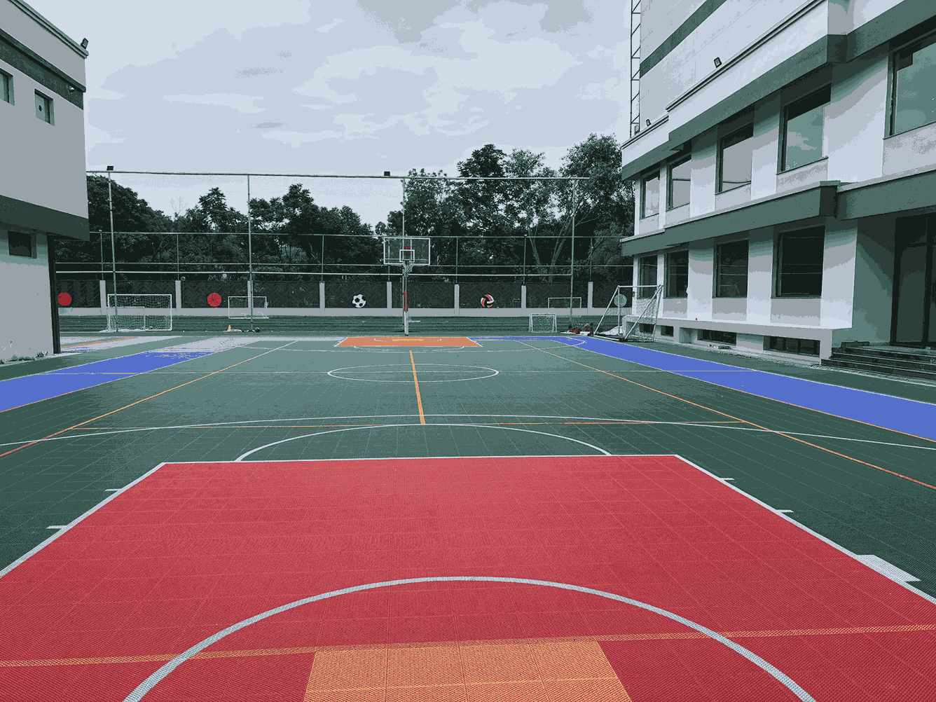 Pulse Basketball