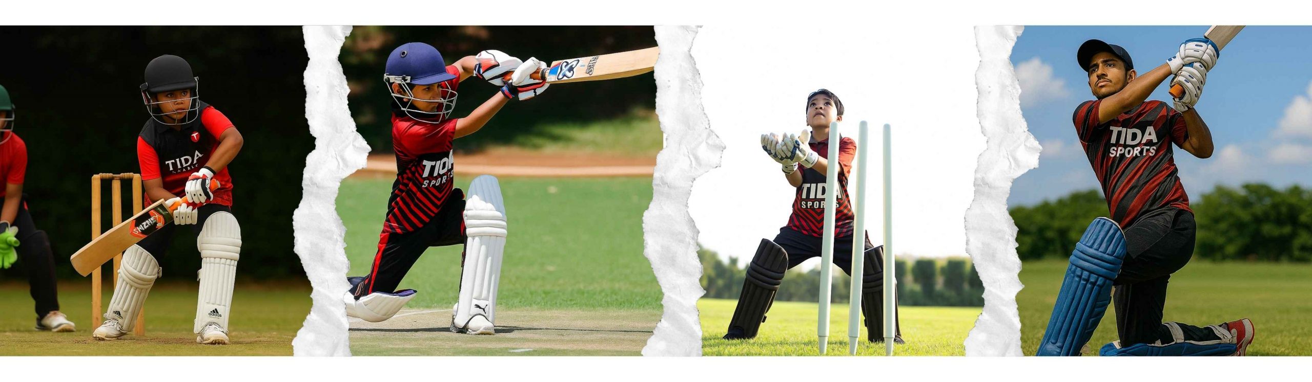 Cricket Academy