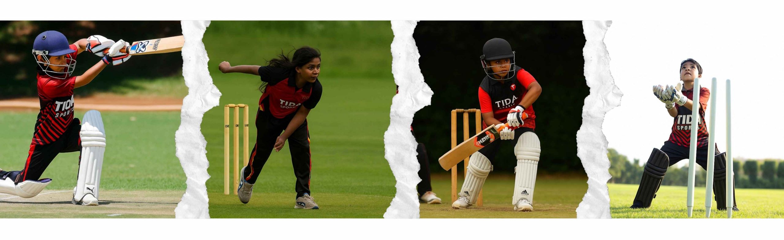 High-Performance Cricket Academy