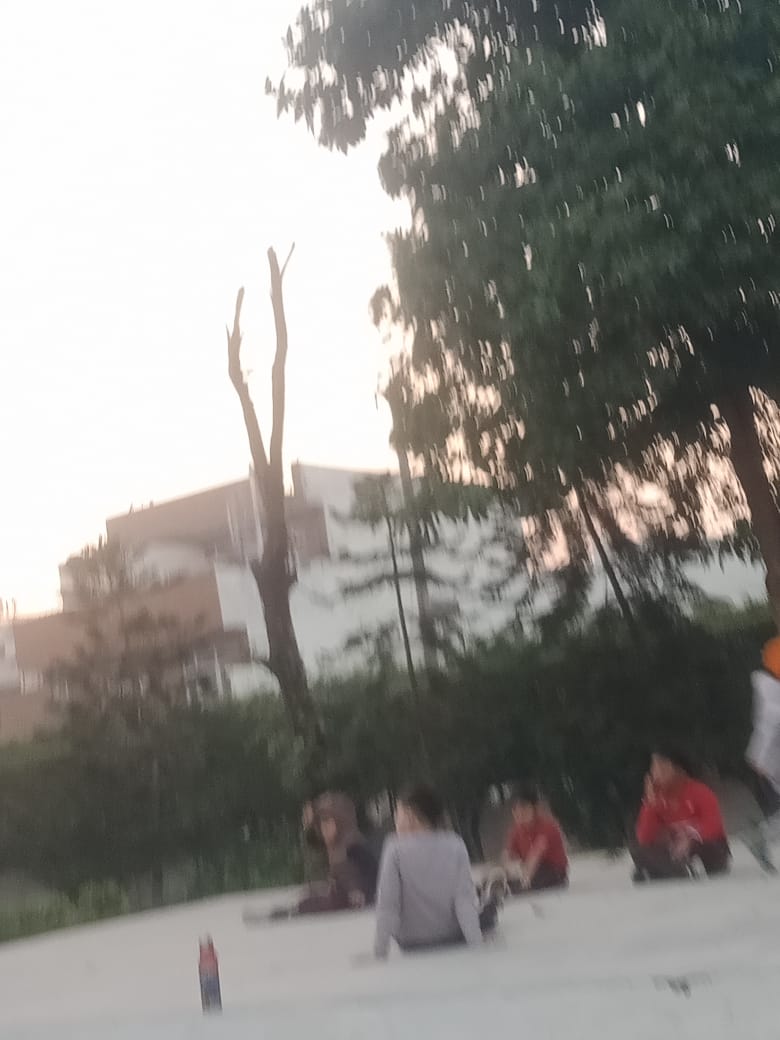 TIDA Milestone School, DLF Colony