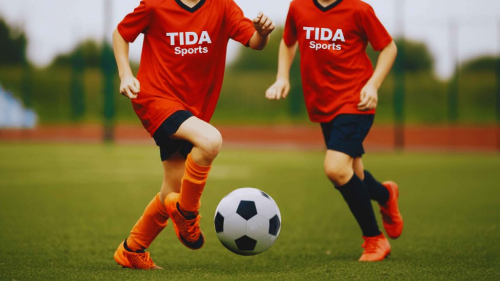 School Partnership Model