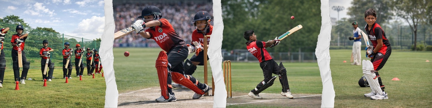 Cricket Academy