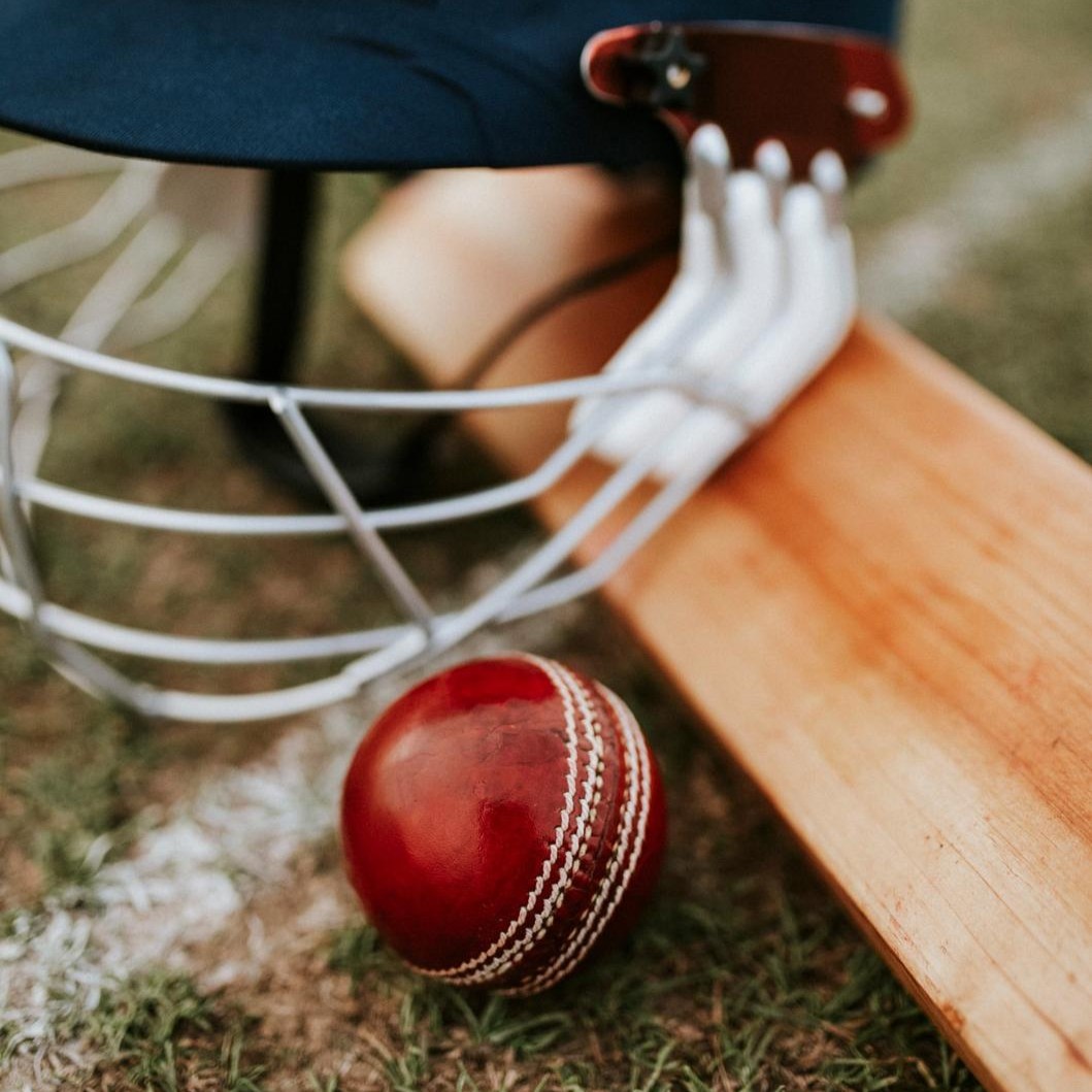 Cricket